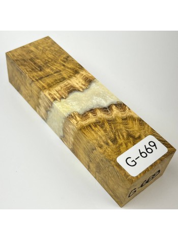 Гібрид №669