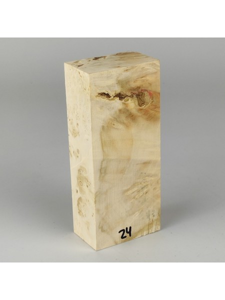 Кап клена сухий №24