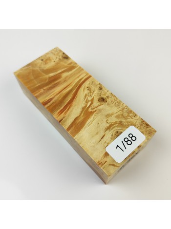 Кап клена стаб. 1/88