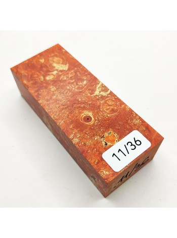 Кап клена стаб. 11/36