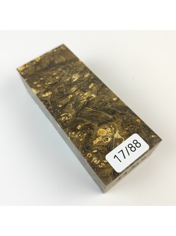 Кап клена стаб. 17/88