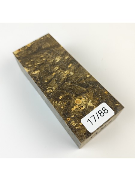 Кап клена стаб. 17/88