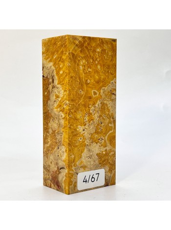 Кап клена стаб. 4/66