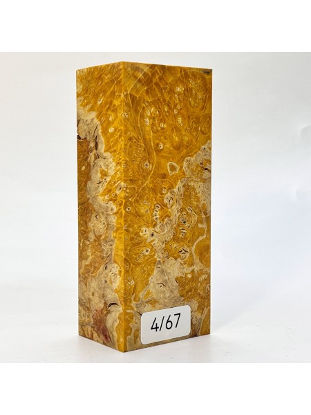 Кап клена стаб. 4/66