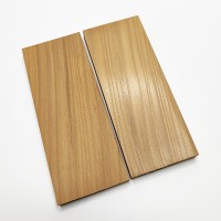 Накладки лох сріблястий №5