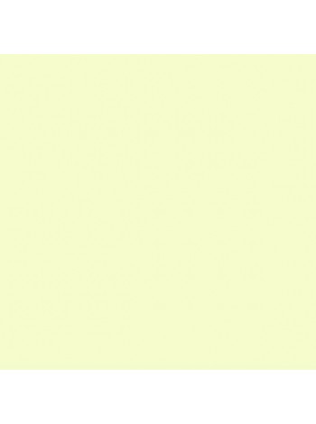 Проставка мікарта слон. кіст. 2 мм (80х130 мм)