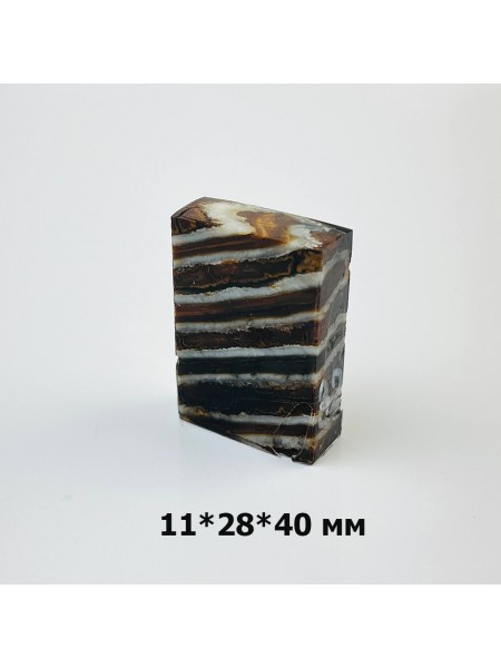 Проставка зуб мамонта №32