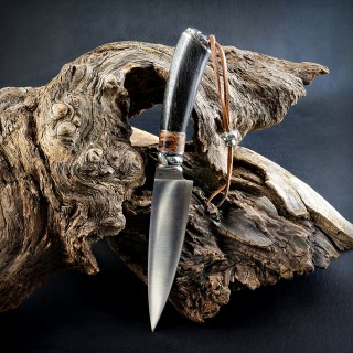 НП №51 "Грибник"