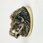 Тыльник (Т-22) "Лев"